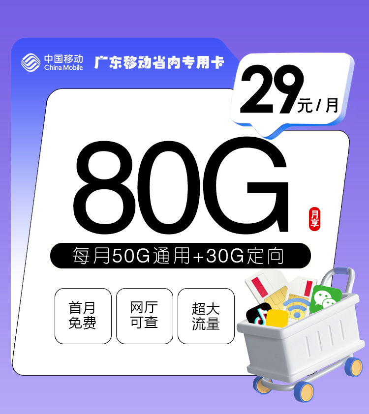广东移动省内专用卡【仅发广东】