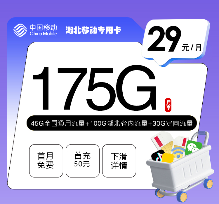 湖北移动专用卡【29元175G】