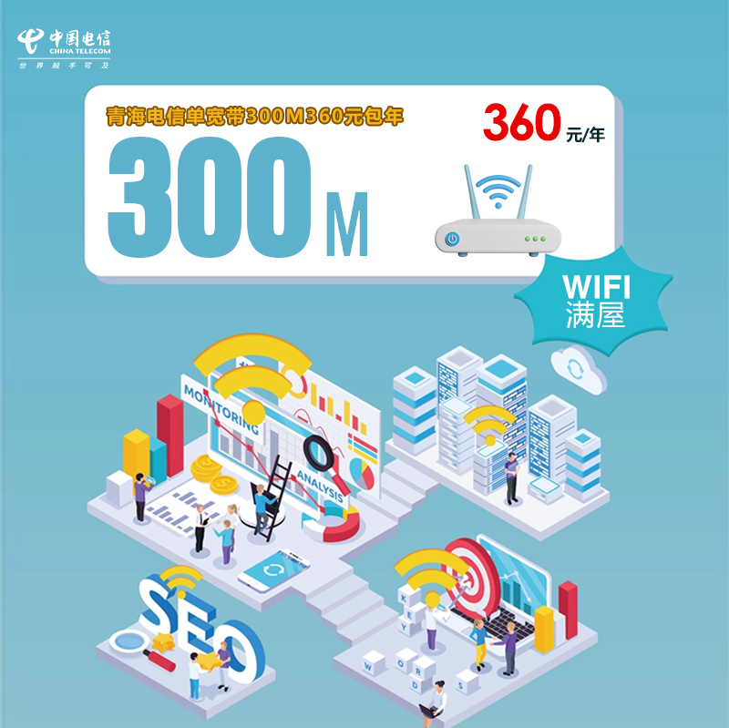 172号卡分销系统-青海电信单宽带300M360元包年（新）-172号卡推荐码77777777